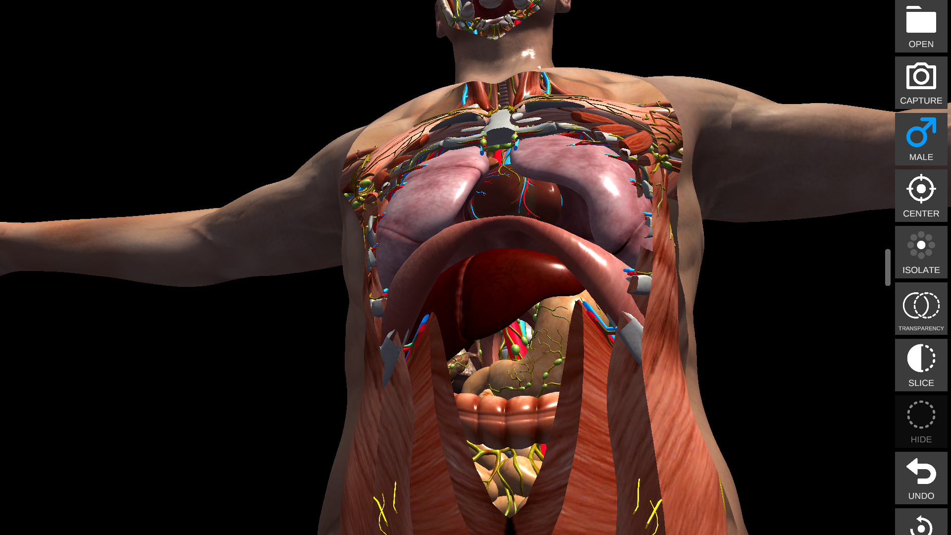Anatomy View full-body model screen