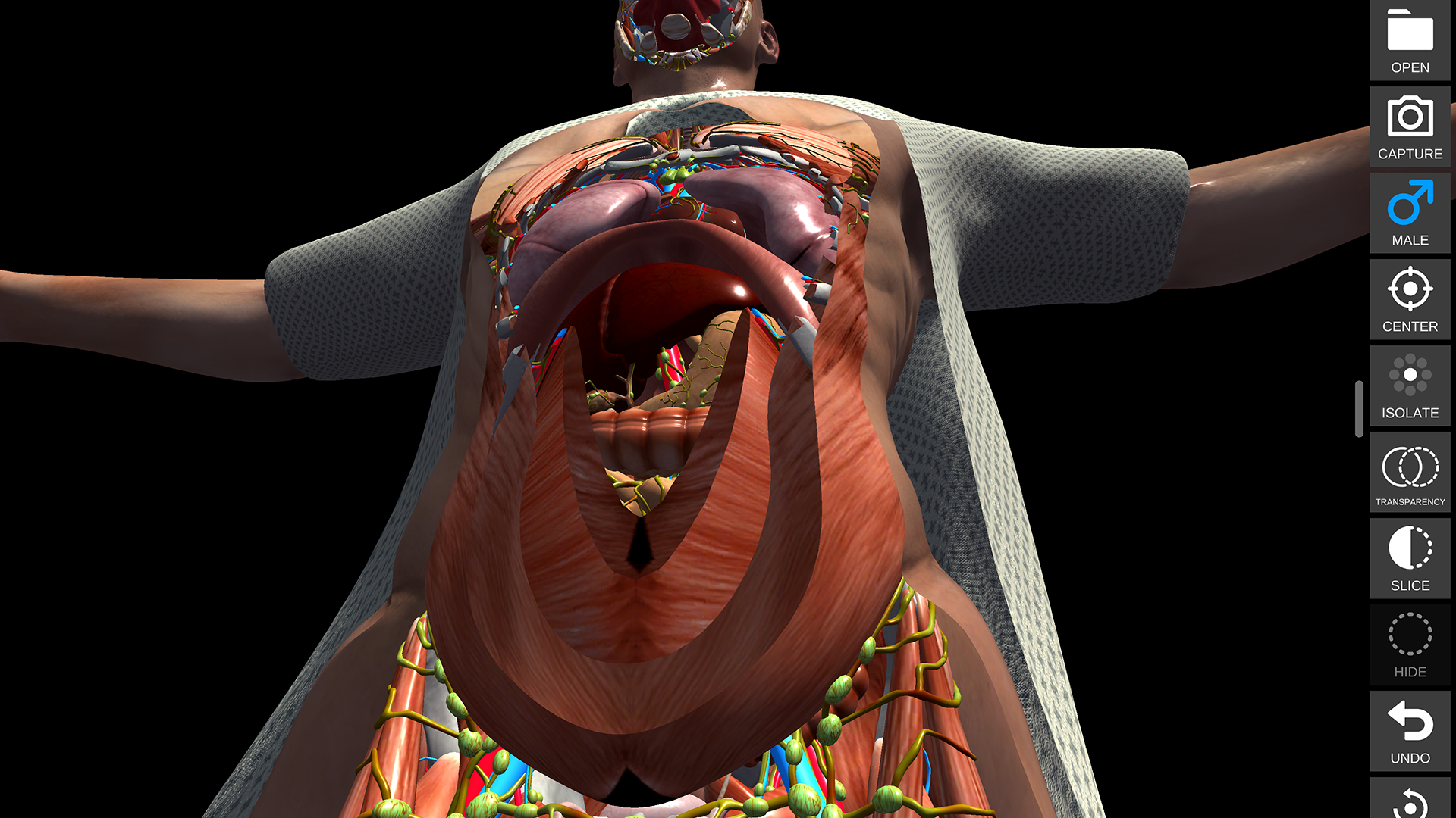 Anatomy View anatomical layer screen